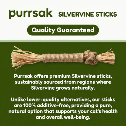 Natural Silvervine Dental Sticks