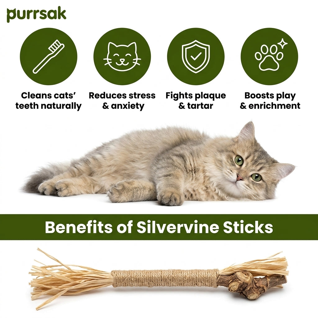 Natural Silvervine Dental Sticks