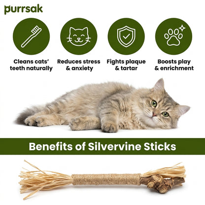 Natural Silvervine Dental Sticks